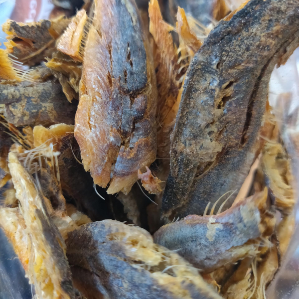 Dried Bonga Fish